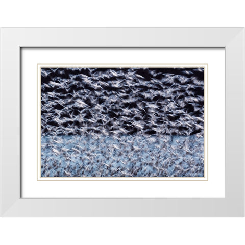 To the Arctic White Modern Wood Framed Art Print with Double Matting by Guo, Liwen