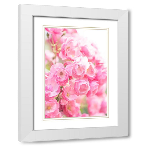 Rose White Modern Wood Framed Art Print with Double Matting by Kazumasa, Kondou