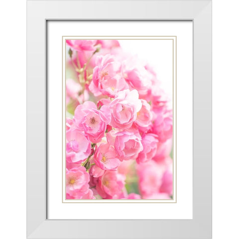 Rose White Modern Wood Framed Art Print with Double Matting by Kazumasa, Kondou