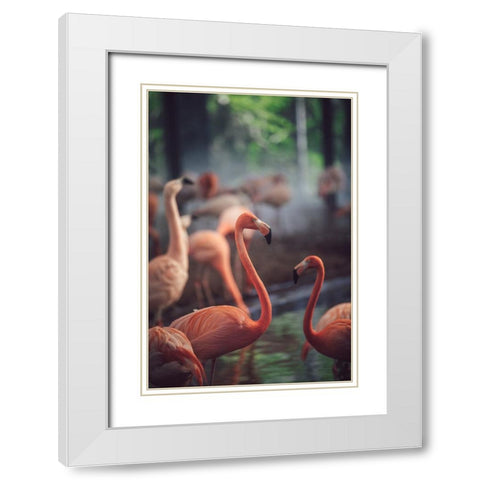 Flamingo White Modern Wood Framed Art Print with Double Matting by Dayvee
