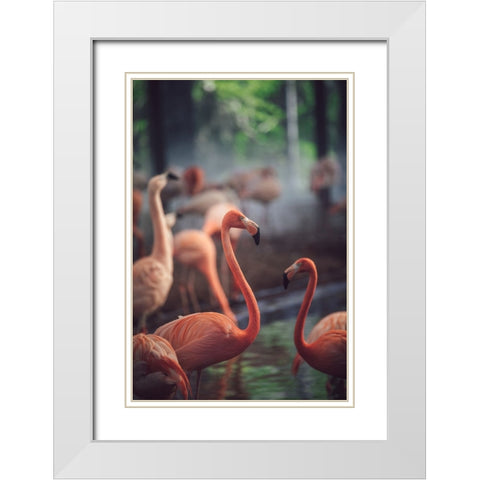 Flamingo White Modern Wood Framed Art Print with Double Matting by Dayvee