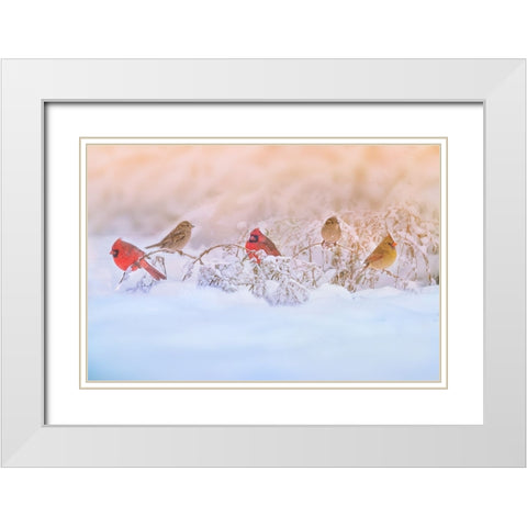 Snowy Morning  Party White Modern Wood Framed Art Print with Double Matting by Lu, Ling