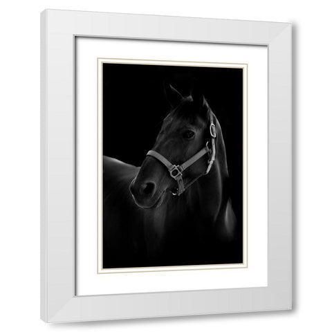Horse White Modern Wood Framed Art Print with Double Matting by T, Yuya