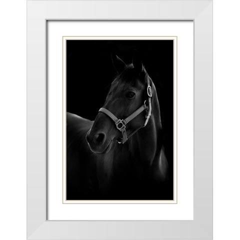 Horse White Modern Wood Framed Art Print with Double Matting by T, Yuya