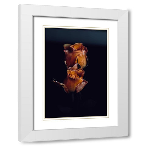 DA-FOOKN-FLOWERS-EH White Modern Wood Framed Art Print with Double Matting by Flores, David