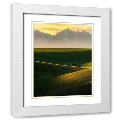 Spring sunset White Modern Wood Framed Art Print with Double Matting by Ilkovic, David