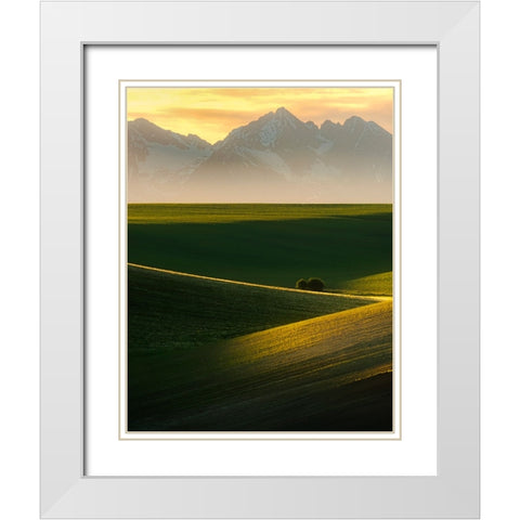 Spring sunset White Modern Wood Framed Art Print with Double Matting by Ilkovic, David