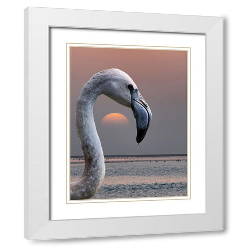 This Is My World White Modern Wood Framed Art Print with Double Matting by Guillemot, Mathilde