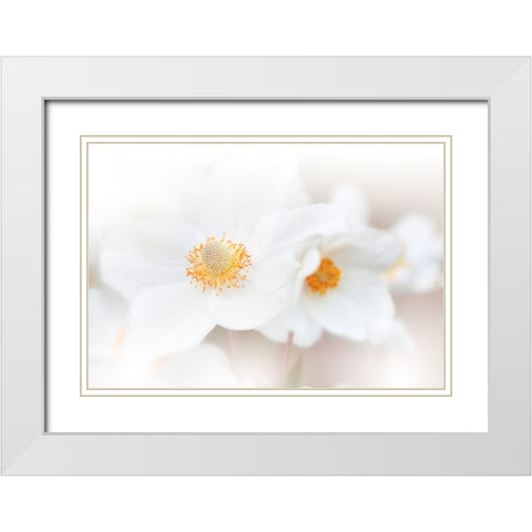 Her Name Is Love...Iii White Modern Wood Framed Art Print with Double Matting by Nan, Juliana