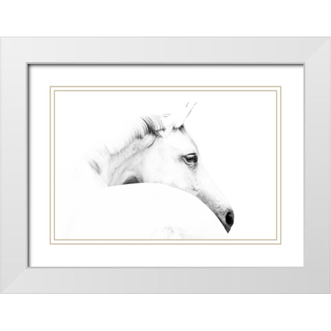 horse and minimalism White Modern Wood Framed Art Print with Double Matting by Leinemann, Ulrike