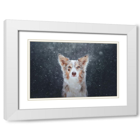 Blizzard White Modern Wood Framed Art Print with Double Matting by Shandor, Ve