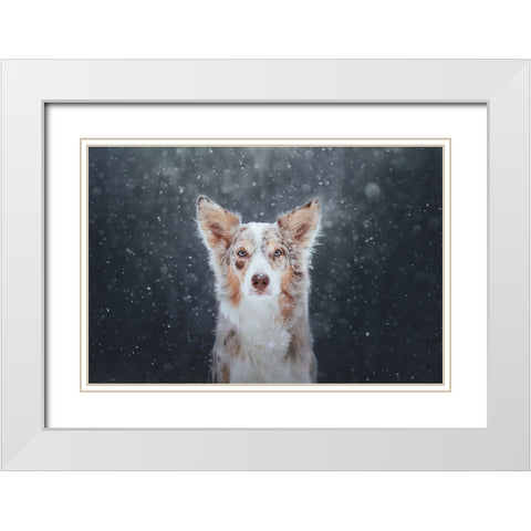 Blizzard White Modern Wood Framed Art Print with Double Matting by Shandor, Ve