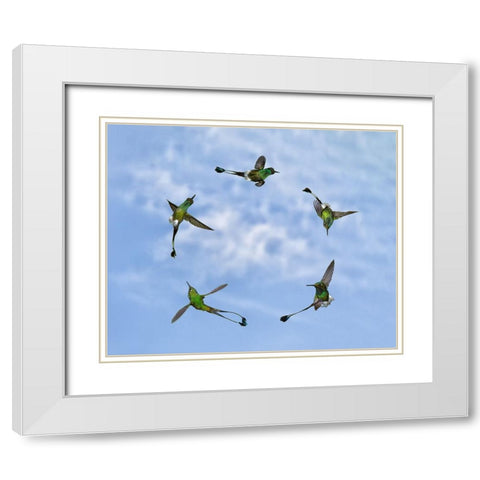 Joy of Flight White Modern Wood Framed Art Print with Double Matting by Marques, Amy