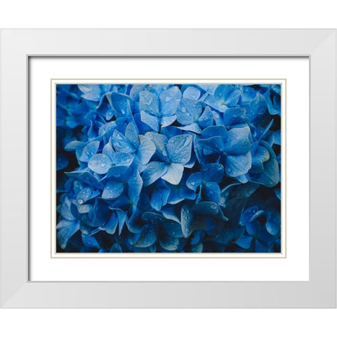 hydrangea White Modern Wood Framed Art Print with Double Matting by Tsunoda, Kazuyuki