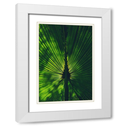 Background lighted palm tree leaf White Modern Wood Framed Art Print with Double Matting by Alcantara, Miguel