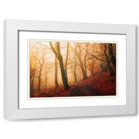 Wake up forest. White Modern Wood Framed Art Print with Double Matting by Londal, Leif