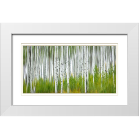 Aspen Forest White Modern Wood Framed Art Print with Double Matting by Yang, Jimmy