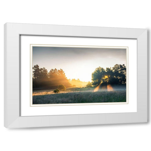 Summer field with sunrays White Modern Wood Framed Art Print with Double Matting by Lindsten, Christian