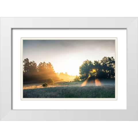 Summer field with sunrays White Modern Wood Framed Art Print with Double Matting by Lindsten, Christian