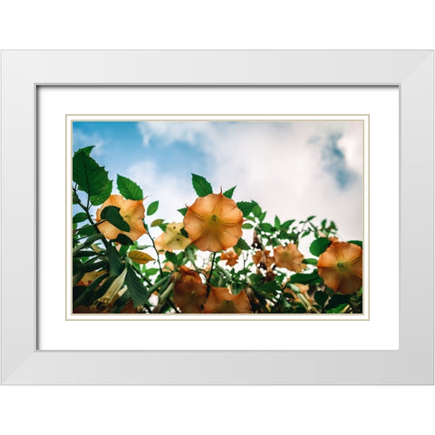 The flower White Modern Wood Framed Art Print with Double Matting by Danielraphotos