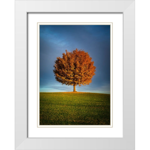 Contrast ddsid White Modern Wood Framed Art Print with Double Matting by Murko, Dominik