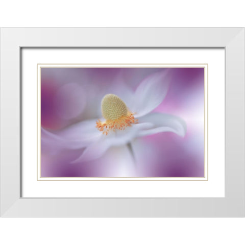 Rain Of Light...III White Modern Wood Framed Art Print with Double Matting by Nan, Juliana