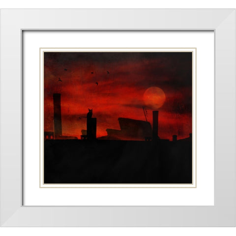 Cat Stories White Modern Wood Framed Art Print with Double Matting by Robert