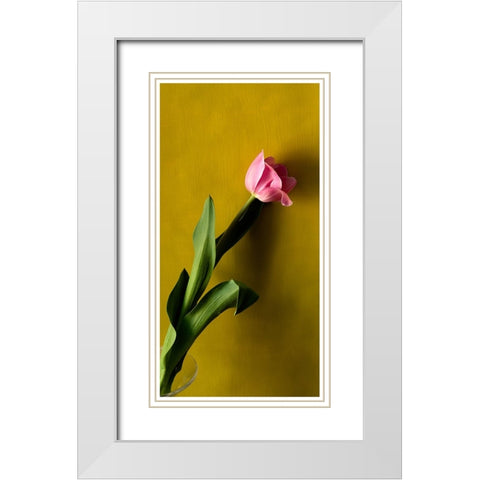 Tulip1 White Modern Wood Framed Art Print with Double Matting by De Malleray, Delphine