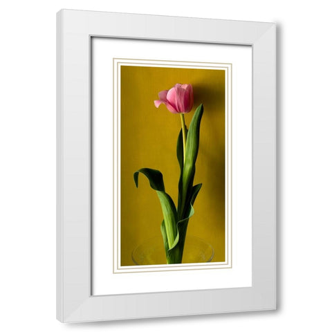 Tulip2 White Modern Wood Framed Art Print with Double Matting by De Malleray, Delphine