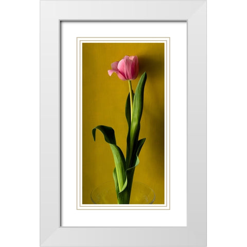 Tulip2 White Modern Wood Framed Art Print with Double Matting by De Malleray, Delphine
