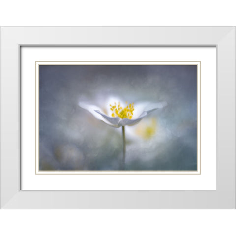 Dreamy White Modern Wood Framed Art Print with Double Matting by Riml, Ludwig