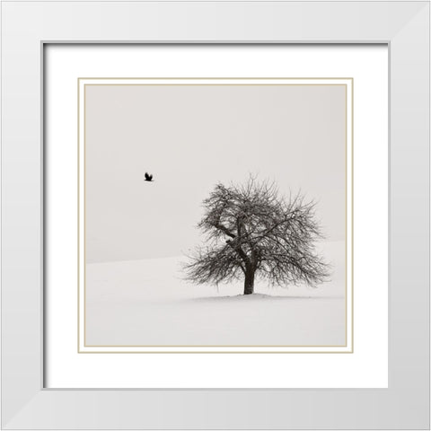 Old Cherry Tree White Modern Wood Framed Art Print with Double Matting by Weisbek, Lena