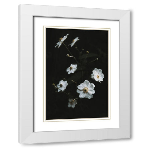 White Flowers White Modern Wood Framed Art Print with Double Matting by Mossholder, Tim