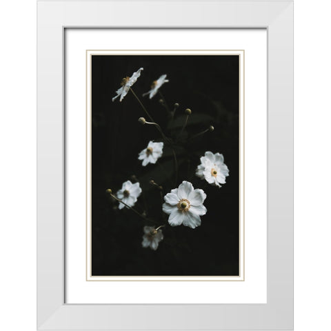 White Flowers White Modern Wood Framed Art Print with Double Matting by Mossholder, Tim