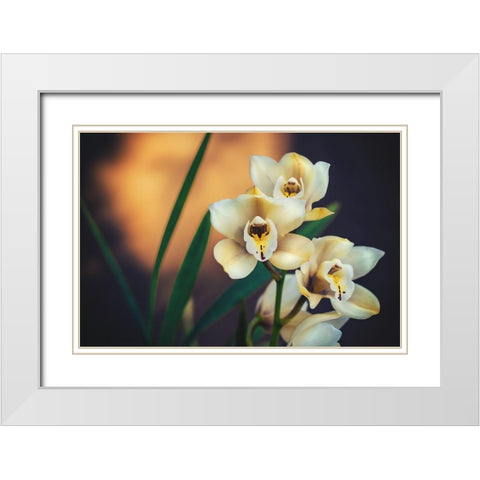 Orchids White Modern Wood Framed Art Print with Double Matting by Mossholder, Tim