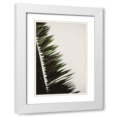 Palm Branches White Modern Wood Framed Art Print with Double Matting by Mossholder, Tim
