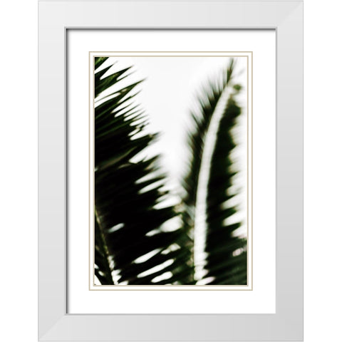Palm Branches White Modern Wood Framed Art Print with Double Matting by Mossholder, Tim