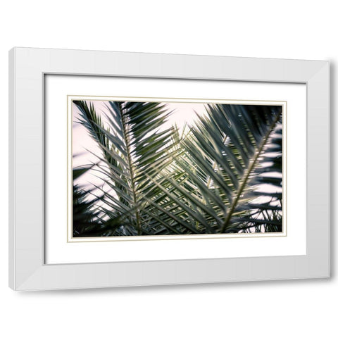 Palm Branches White Modern Wood Framed Art Print with Double Matting by Mossholder, Tim