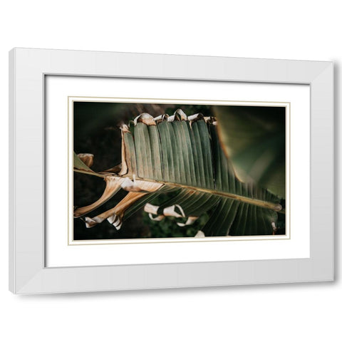 Palm Decay White Modern Wood Framed Art Print with Double Matting by Mossholder, Tim