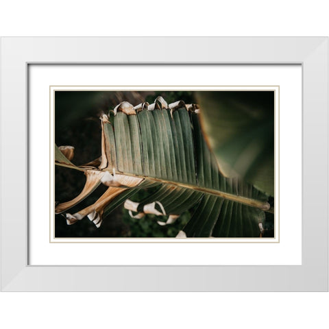 Palm Decay White Modern Wood Framed Art Print with Double Matting by Mossholder, Tim