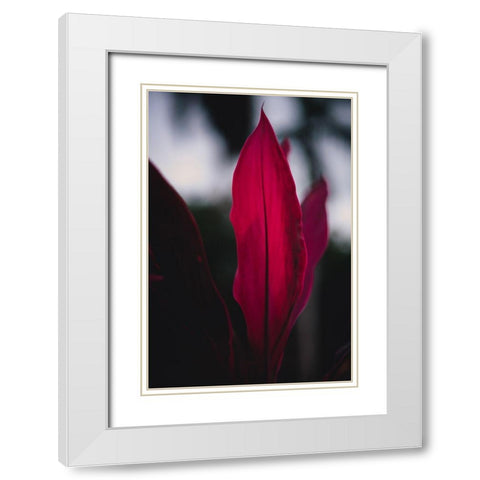 Red Plan at Dusk White Modern Wood Framed Art Print with Double Matting by Mossholder, Tim