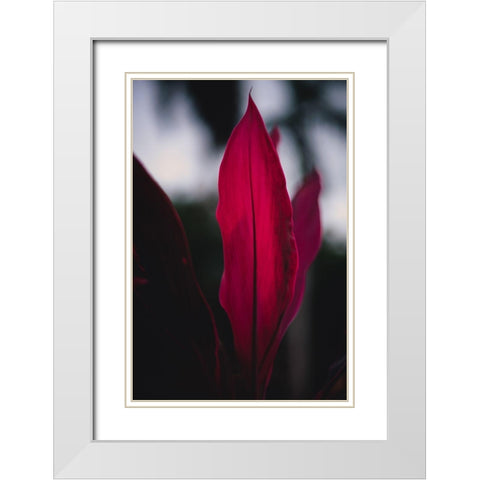 Red Plan at Dusk White Modern Wood Framed Art Print with Double Matting by Mossholder, Tim