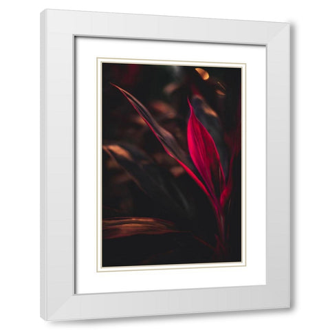 Red Plan at Dusk White Modern Wood Framed Art Print with Double Matting by Mossholder, Tim