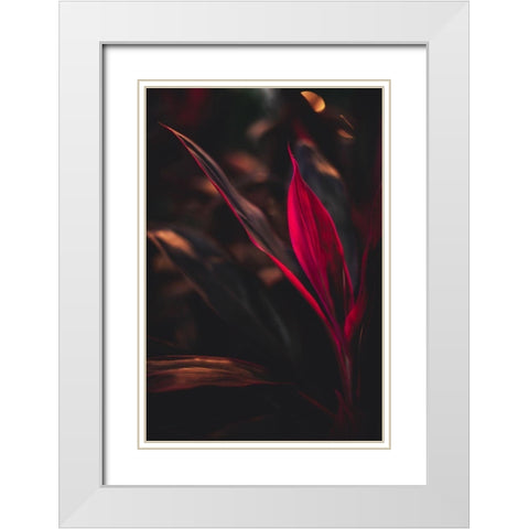 Red Plan at Dusk White Modern Wood Framed Art Print with Double Matting by Mossholder, Tim