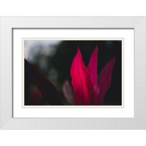 Red Plan at Dusk White Modern Wood Framed Art Print with Double Matting by Mossholder, Tim
