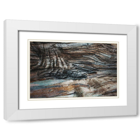 Eucalyptus Texture White Modern Wood Framed Art Print with Double Matting by Mossholder, Tim