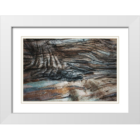 Eucalyptus Texture White Modern Wood Framed Art Print with Double Matting by Mossholder, Tim