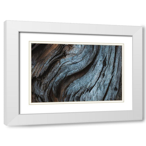 Eucalyptus Texture White Modern Wood Framed Art Print with Double Matting by Mossholder, Tim
