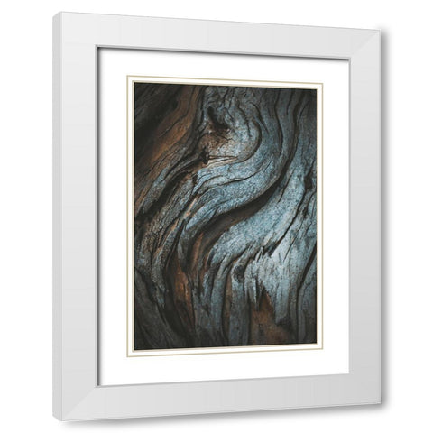 Eucalyptus Texture White Modern Wood Framed Art Print with Double Matting by Mossholder, Tim