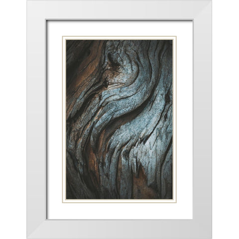 Eucalyptus Texture White Modern Wood Framed Art Print with Double Matting by Mossholder, Tim